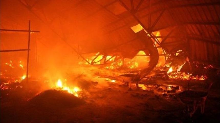 Uşak&rsquo;ta Kuru &Ccedil;i&ccedil;ek İmalatı Yapan Fabrika K&uuml;l Oldu