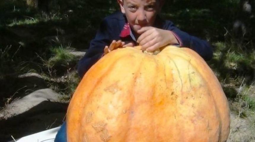 73 Kiloluk Kabak Yetiştirdi