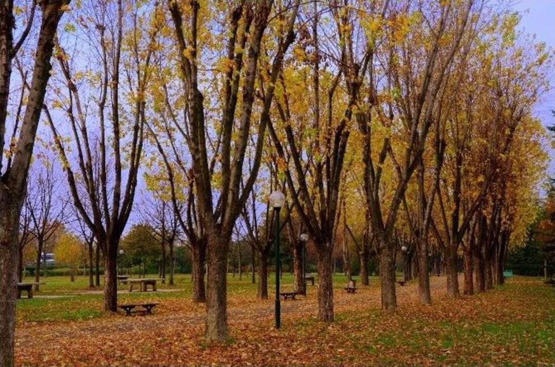 Sonbaharın B&uuml;y&uuml;s&uuml;