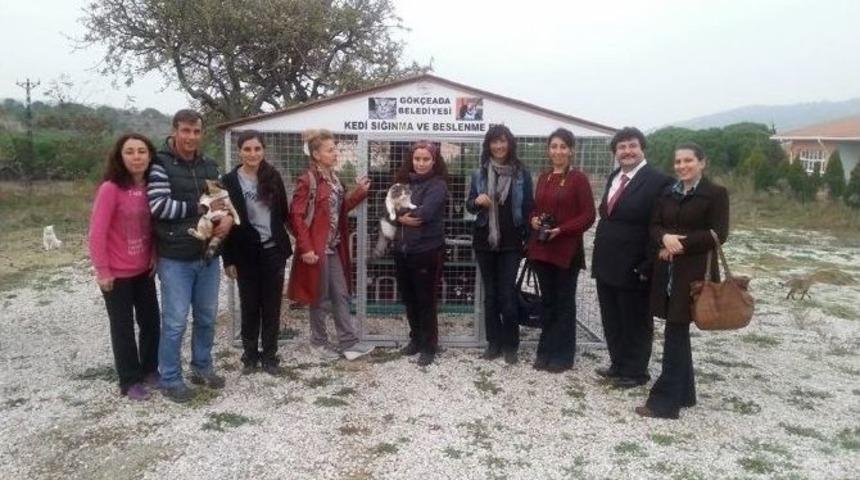 G&ouml;k&ccedil;eada&rsquo;da Kedi Evleri Yerlerine Konuldu