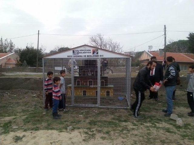 Gökçeada’da Kedi Evleri Yerlerine Konuldu