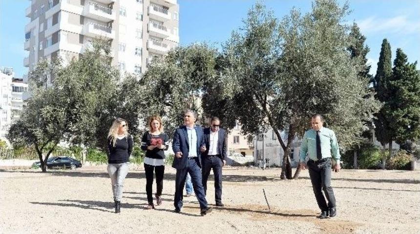 Soma Yırca K&ouml;yl&uuml;lerine İthafen "zeytin Park"