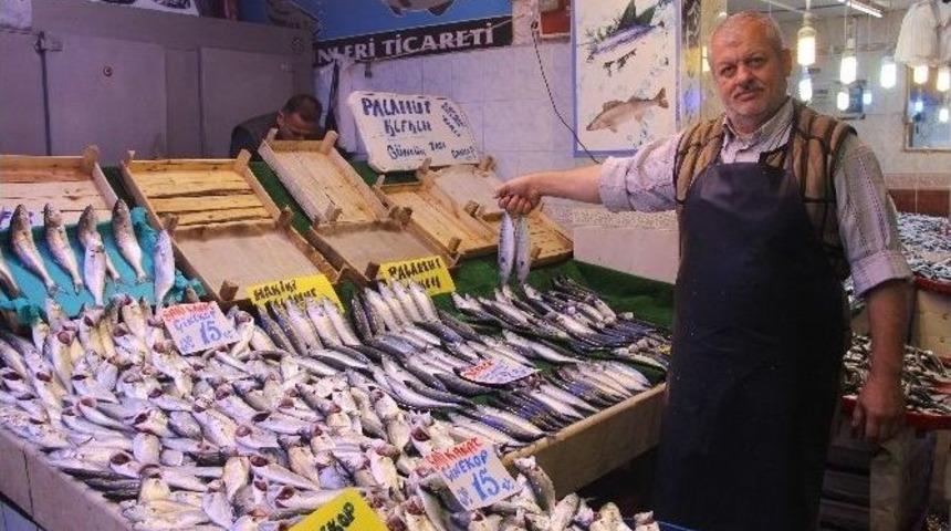 Balık Fiyatlarındaki D&uuml;ş&uuml;ş Esnaf Ve Vatandaşın Y&uuml;z&uuml;n&uuml; G&uuml;ld&uuml;rd&uuml;