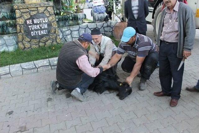 İnhisar Belediyesi Bünyesine Yeni Araçlar Kattı