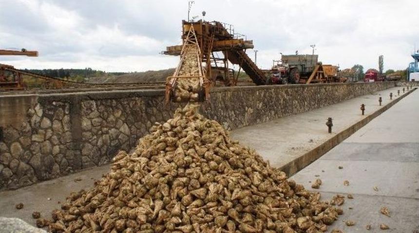 Pancar &Uuml;reticisinin G&ouml;z&uuml; Bakanlar Kurulu&rsquo;nda