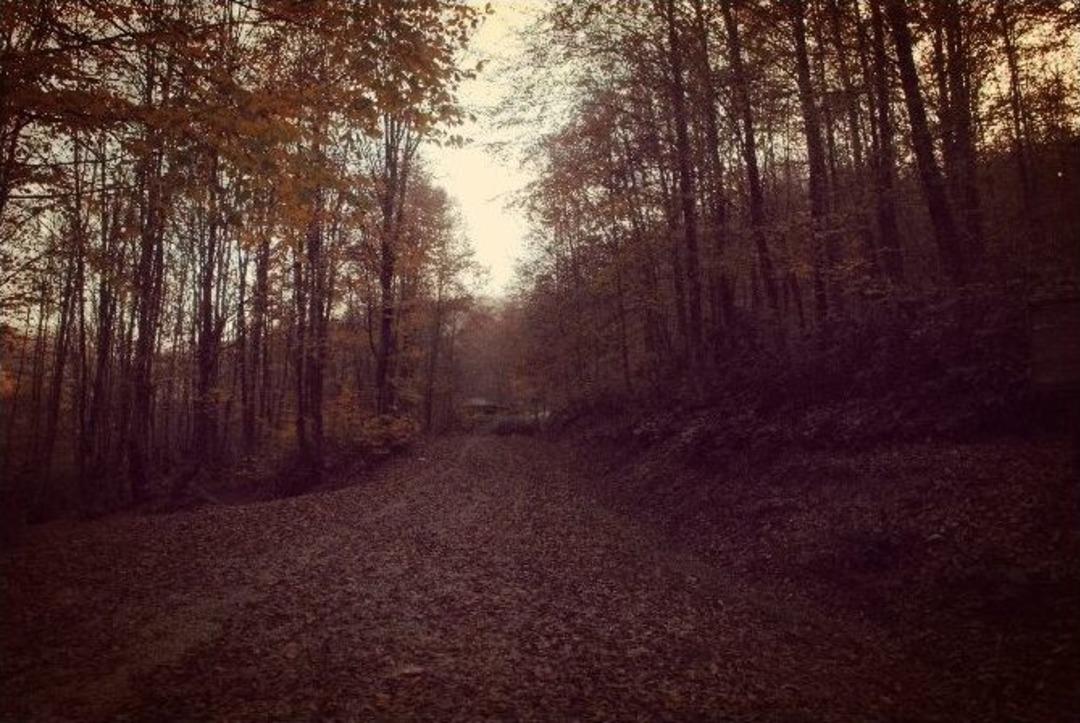 Zonguldak&rsquo;ta Sonbahar