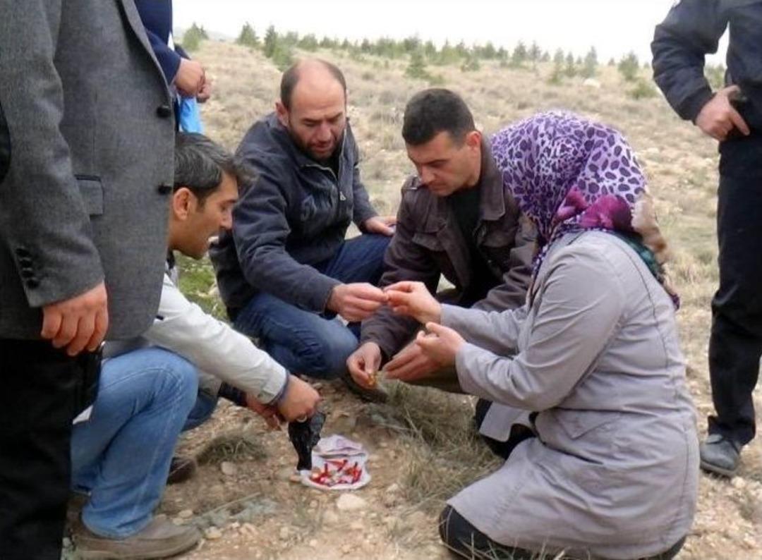 Film Gibi Dolandırıcılık Operasyonu