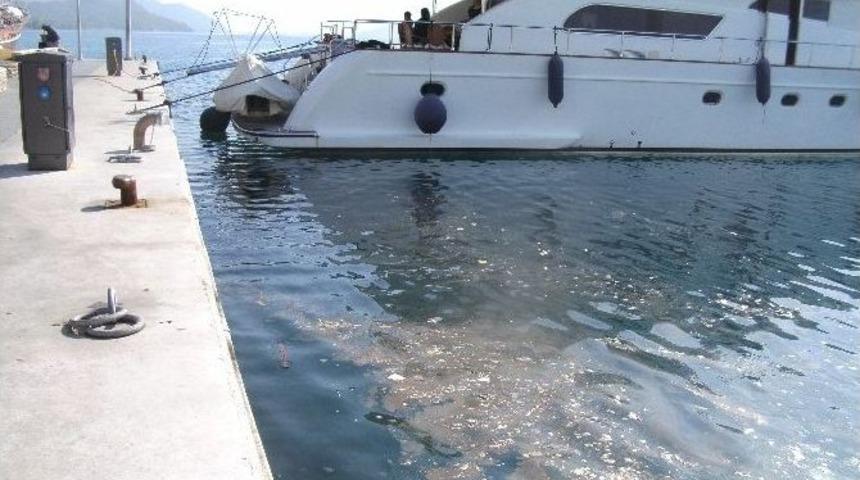 Marmaris&rsquo;te Deniz Kirliliği