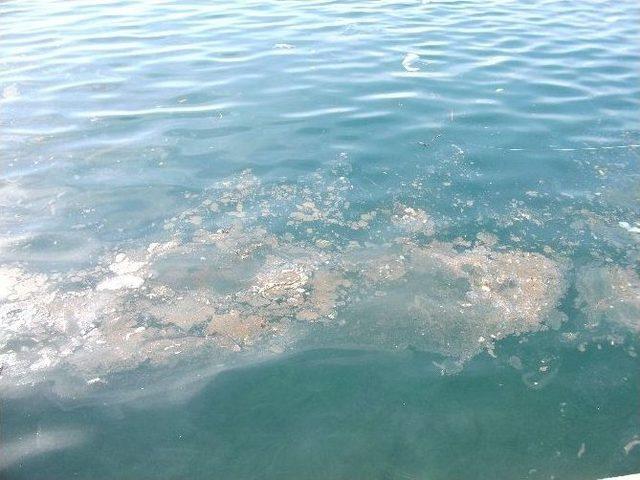 Marmaris&rsquo;te Deniz Kirliliği 1