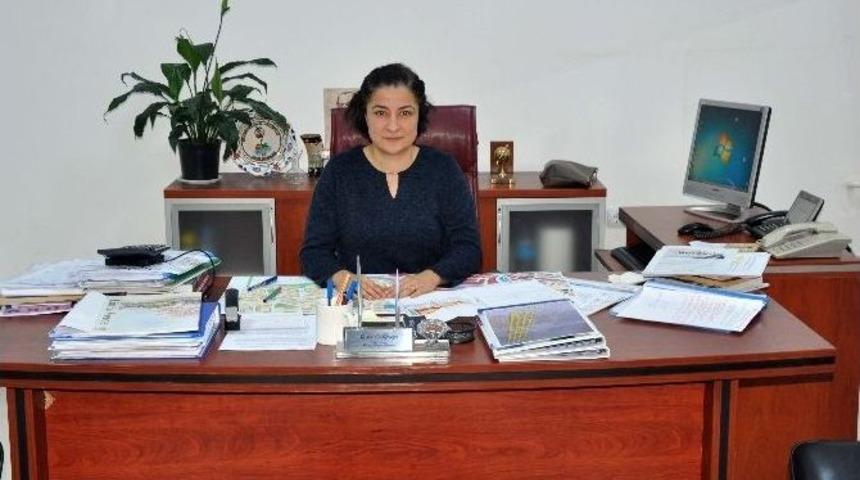 Kdz. Ereğli Belediyesi&rsquo;nin Bankalarda 7.7 Milyon Tl Parası Var