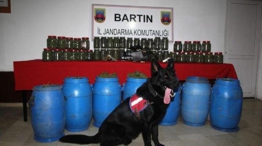 Bartın Jandarma, 1 Yılda 18 Narkotik Operasyon D&uuml;zenledi