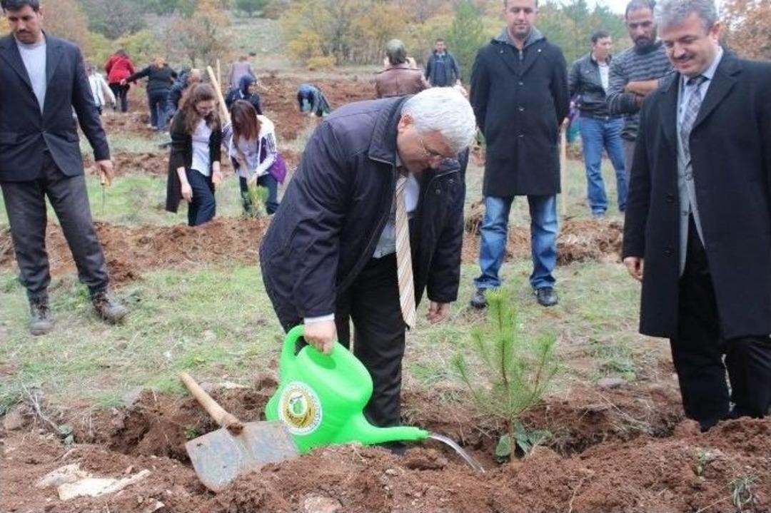 K&uuml;tahya&rsquo;da &Ouml;rnek Kampanya