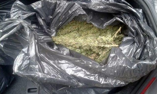 İlçeye 600 Polisle Uyuşturucu Operasyonu 2