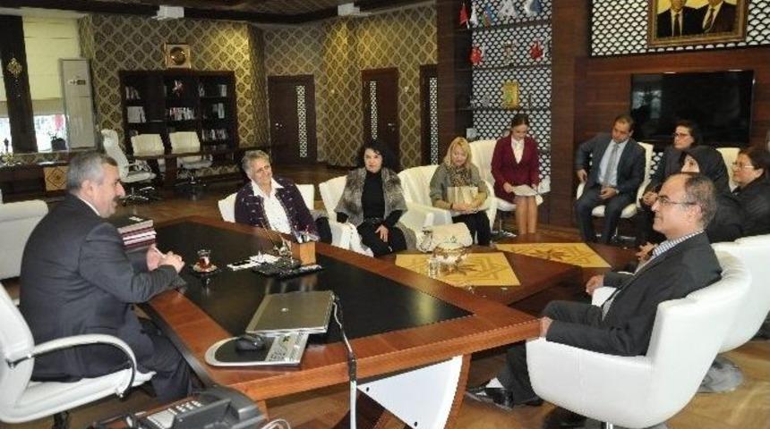 Sokak Hayvanları Daha G&uuml;&ccedil;l&uuml; Korunacak