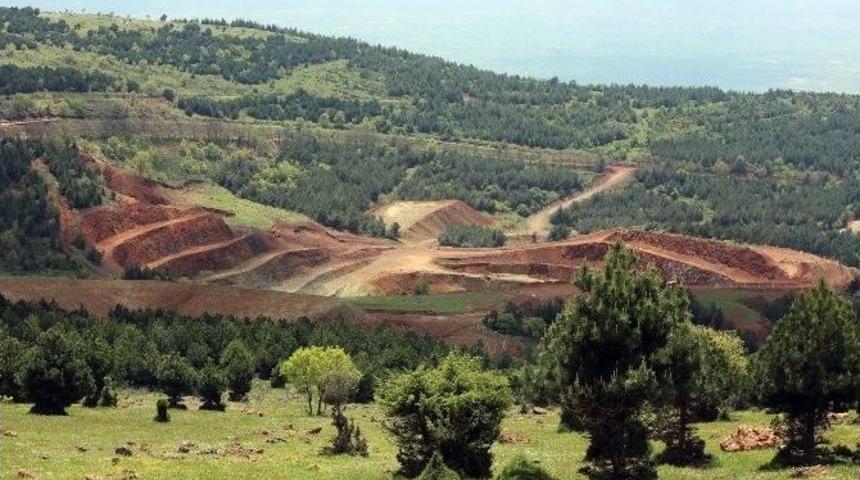 Nikel Tesisi İ&ccedil;in &Ccedil;ed Raporu Onaylandı