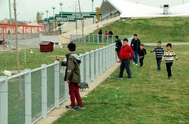 Hamiyet Çocukları Kayseri Gezisinde Doyasıya Eğlendi