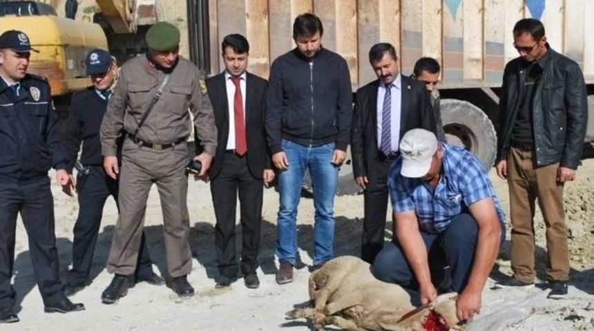 Pazalar İl Bağlantı Yolunun Hafriyat &Ccedil;alışmaları Başladı