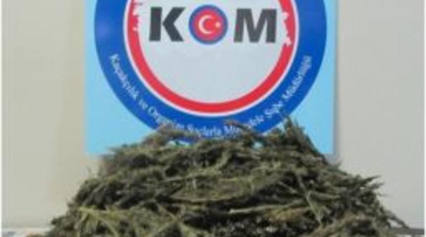 D&uuml;zce&rsquo;de Uyuşturucuya Ge&ccedil;it Yok