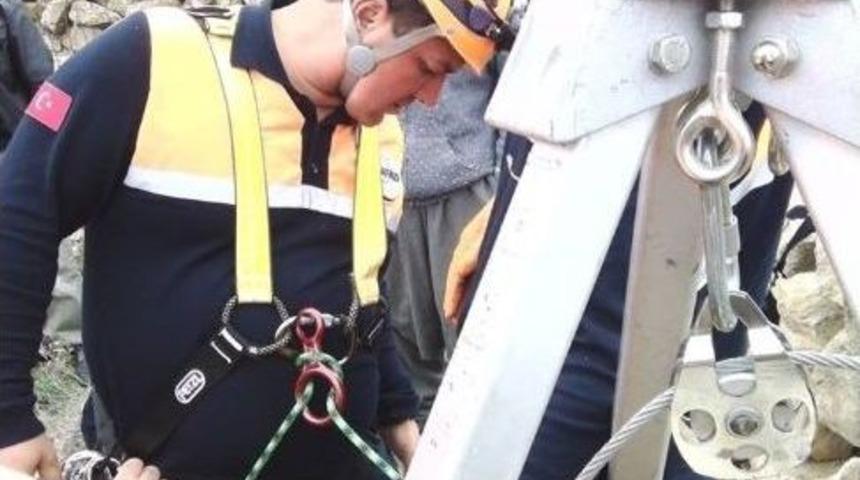 Kuyuya D&uuml;şen Yavru K&ouml;peği Afad Ekipleri Kurtardı