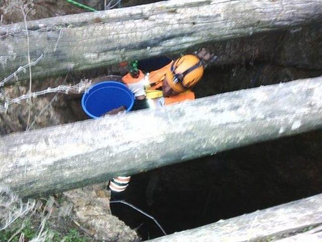 Kuyuya D&uuml;şen Yavru K&ouml;peği Afad Ekipleri Kurtardı 1