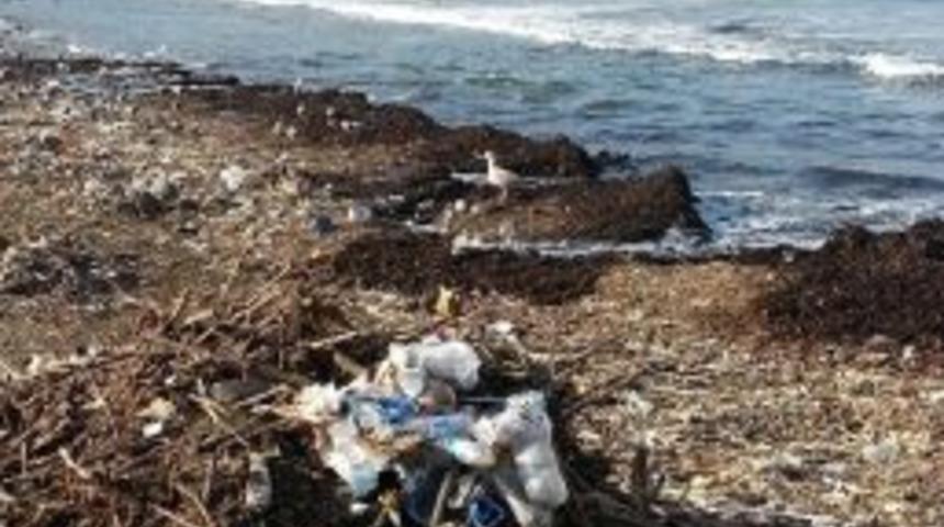 Ordu Kıyıları Plastik &Ccedil;&ouml;pl&uuml;ğ&uuml;