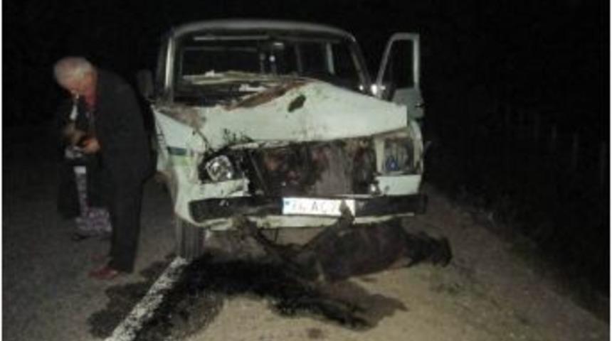 Otomobil Manda S&uuml;r&uuml;s&uuml;ne &Ccedil;arptı