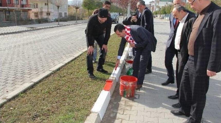 Kavak Kırmızı-beyaz Oluyor