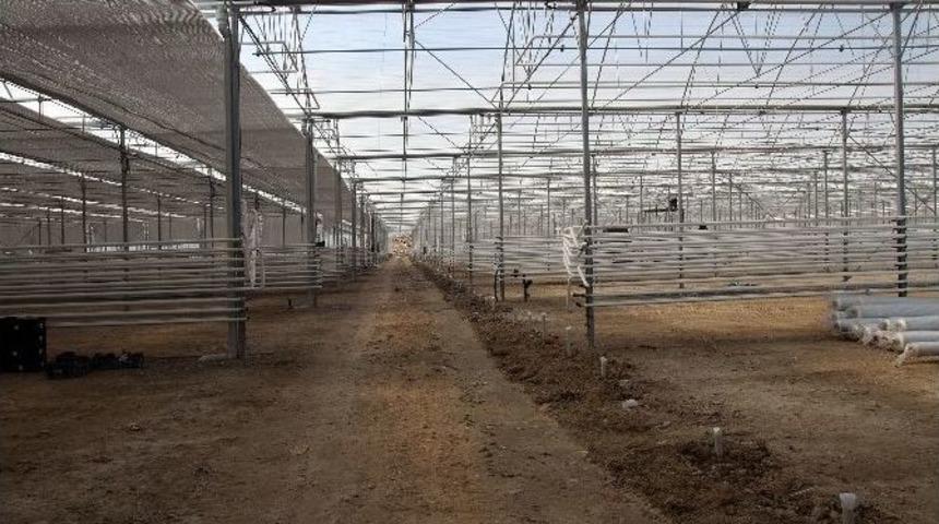 Doğunun Kışlık Domatesi Ağrı&rsquo;dan