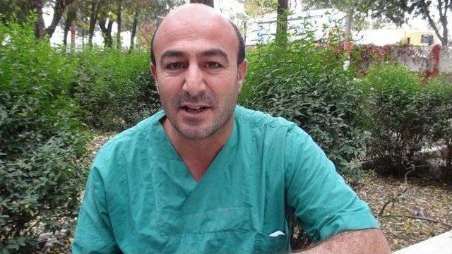 Batman’da Sokak Köpekleri Kısırlaştırılıyor 2