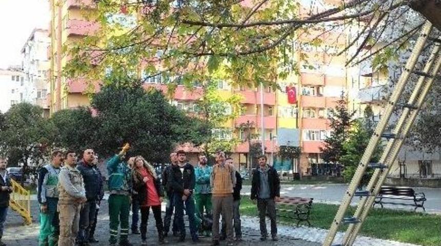 Park Bah&ccedil;e &Ccedil;alışanları Uygulayarak &Ouml;ğreniyor