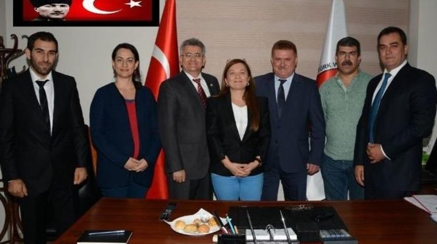 K&ouml;se: &ldquo;veteriner Hekim Eli Değmemiş Eti T&uuml;ketmeyin&rdquo;