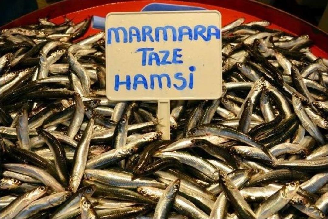 Hamsi Fiyatları Şaşırtıyor