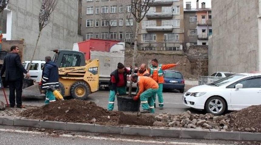 Yeşil Bir Erzurum İ&ccedil;in