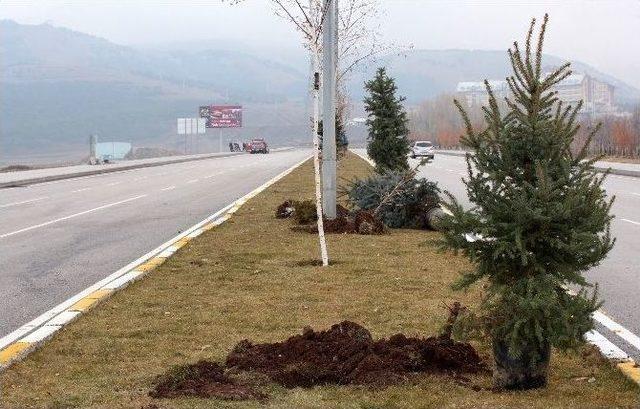 Yeşil Bir Erzurum İ&ccedil;in 2