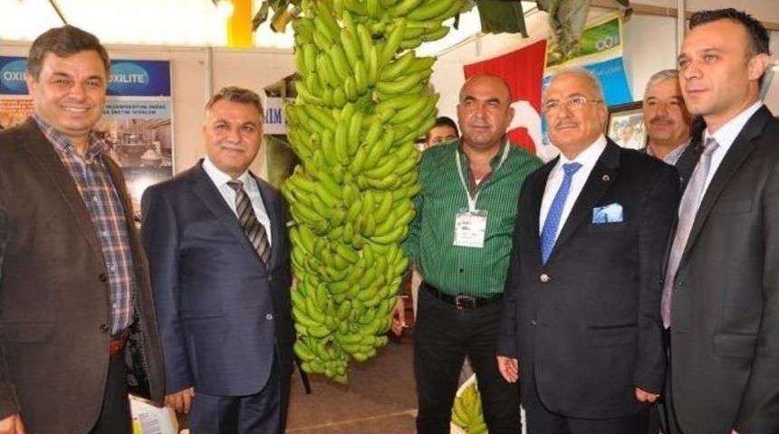 Kocamaz: &ldquo;bu Fuar Anamur&rsquo;un İl Olma Yolundaki En B&uuml;y&uuml;k Girişimidir&rdquo;