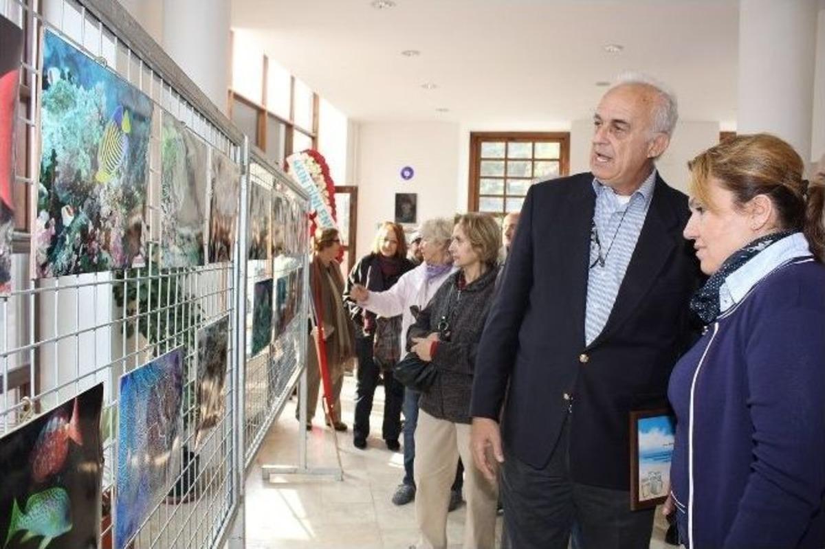 &Ouml;zhan Canaydın&rsquo;ın Kardeşi Urla&rsquo;da Sergi A&ccedil;tı