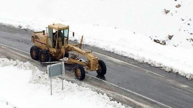 Van’da Kar Yağışı