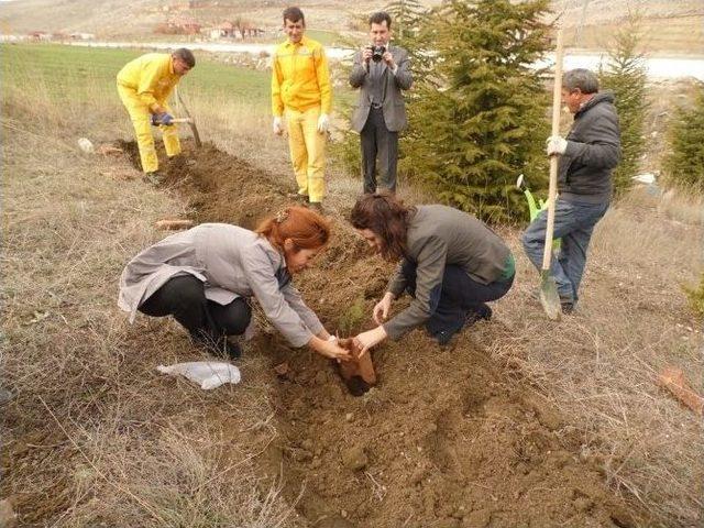 Korkuteli’nde 