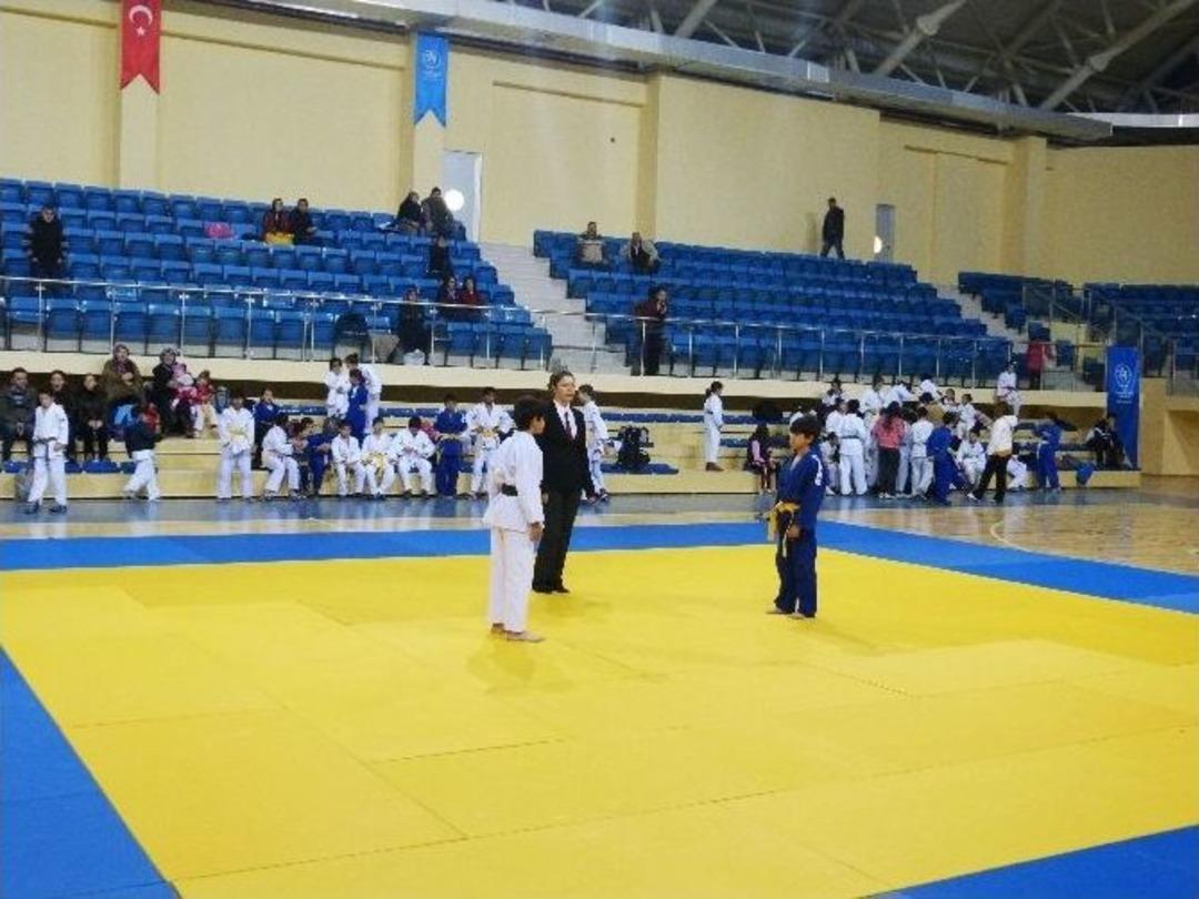 Bilecik&rsquo;te 10 Kasım Atat&uuml;rk&rsquo;&uuml; Anma Judo Turnuvası