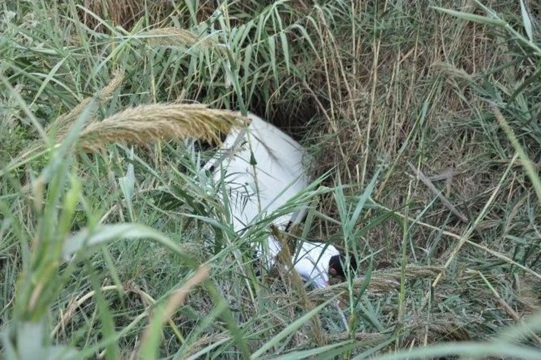 Sınavdan &Ccedil;ıkan &Ouml;ğrenciler Kaza Yaptı: 1 &Ouml;l&uuml;, 4 Yaralı