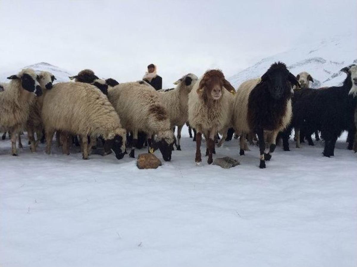 K&ouml;yl&uuml;lerin Tasarruf Tedbirleri