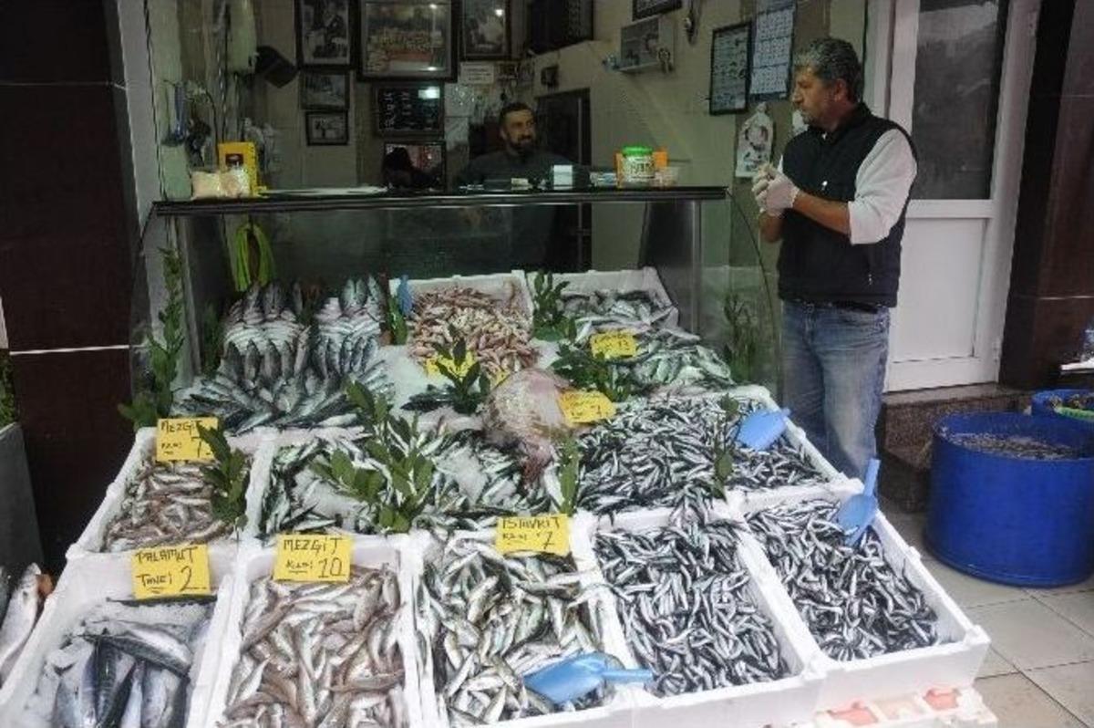 Batı Karadeniz&rsquo;de Balık Fiyatları D&uuml;ş&uuml;yor