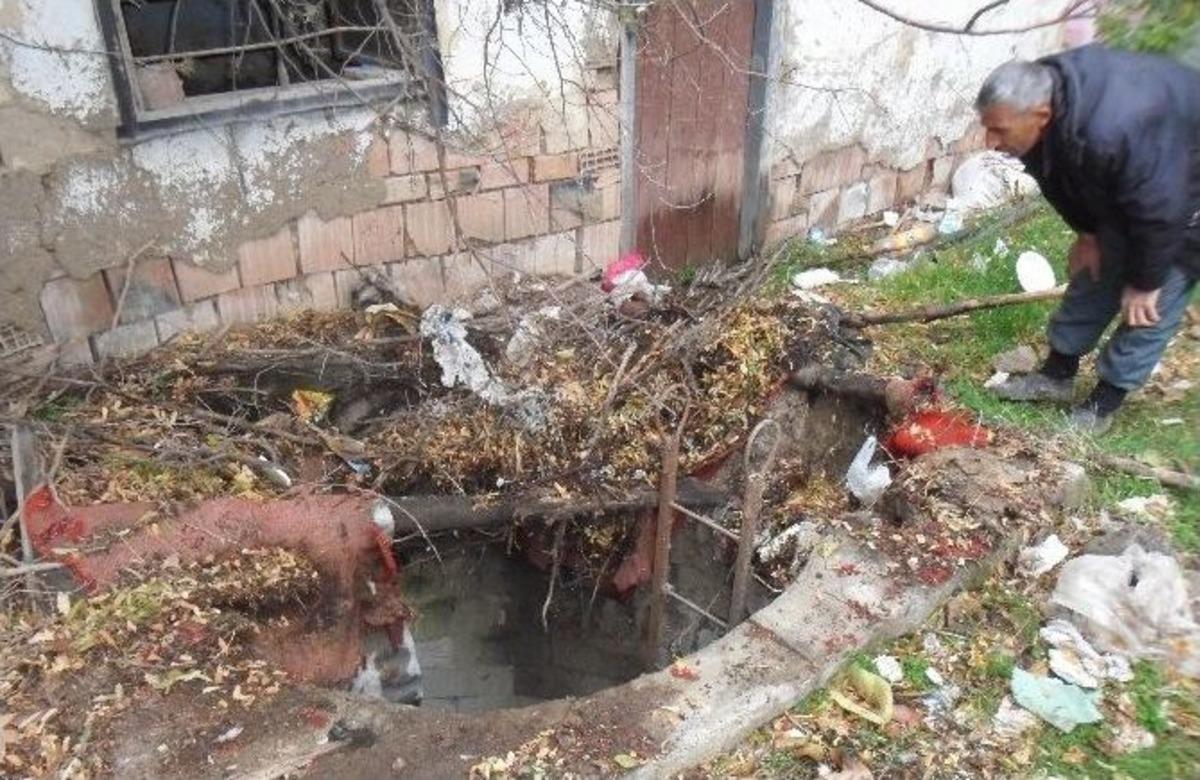 Ke&ccedil;iye Niyet, Kaplumbağaya Kısmet