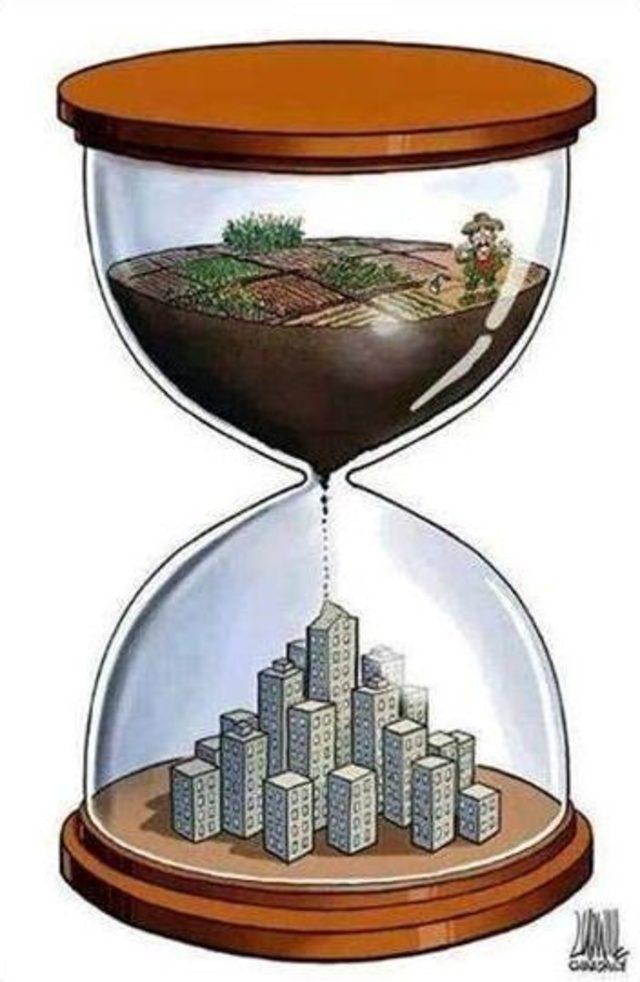 Toprak Güvenliği Ve Sürdürülebilir Yaşam... 1