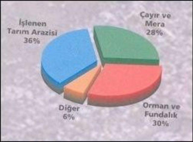Toprak Güvenliği Ve Sürdürülebilir Yaşam... 3
