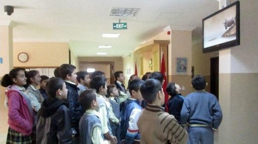 Yığılca&rsquo;da Edep Başladı