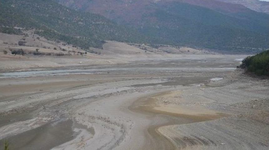 Kuraklık, 1.4 Milyar İnsanın Hayatını Tehdit Ediyor