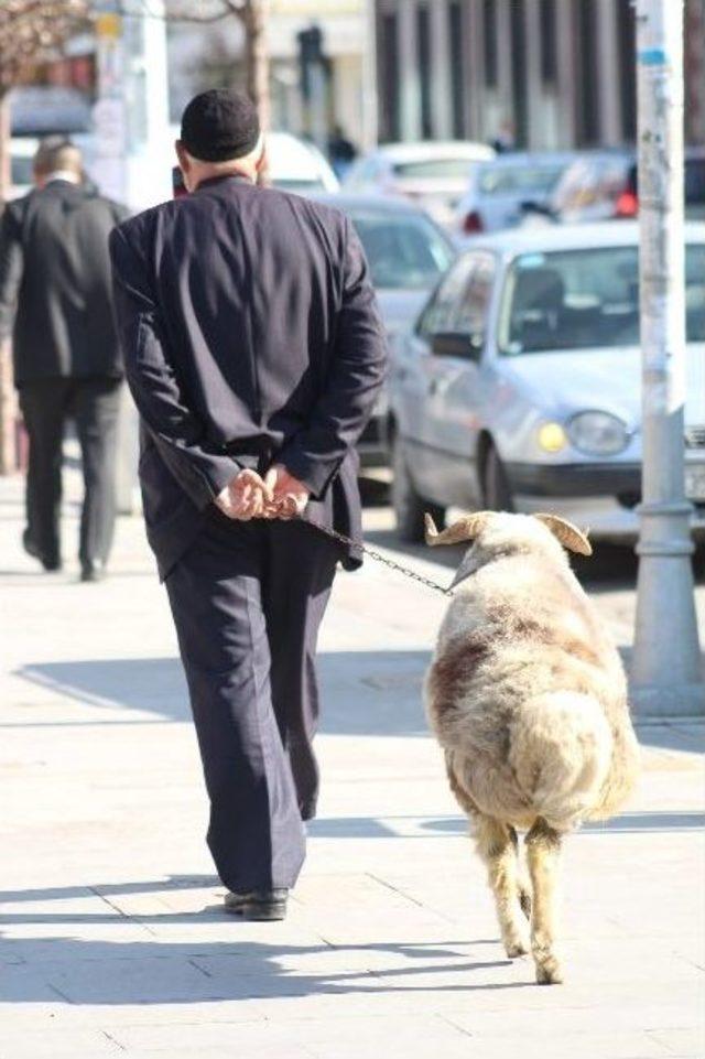 Erzurum’da Pastırma Sıcakları Vatandaşları Sokağa Döktü 3