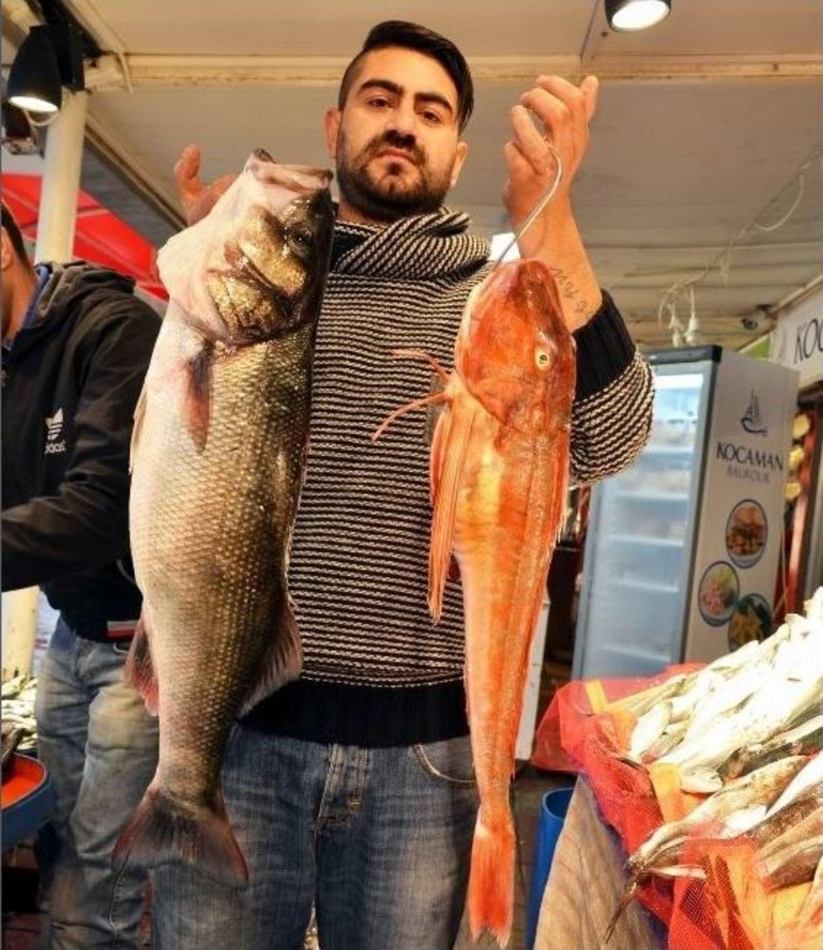 Marmara&rsquo;daki Balık Bolluğu Y&uuml;zleri G&uuml;ld&uuml;r&uuml;yor