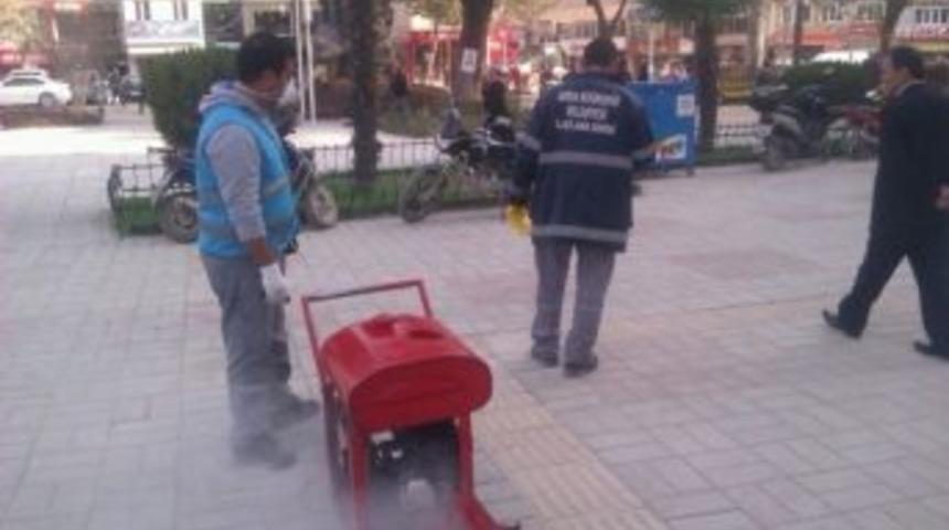 B&uuml;y&uuml;kşehirden Haşereyle M&uuml;cadele